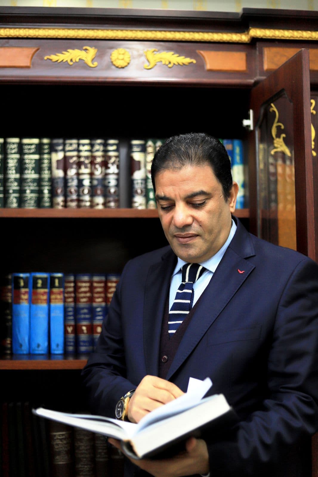 محمود عيد الطنطاوي